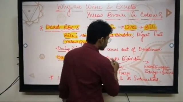 Why is Excreta & Urine Yellow Brown in Colour ? Class 10 Science || Ascension Classes смотреть онлайн