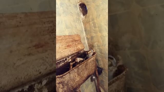 Наладить унитаз папловок смотреть онлайн