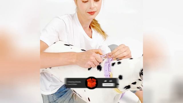 Pet dog collar Small and medium Dogs Nylon Cool Summer Bioxane PVC comfortable Handmade Pet supplie смотреть онлайн
