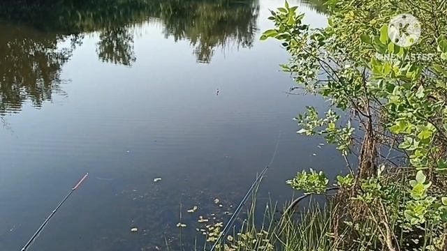 Рыбалка на ерике в начале августа. 03.08.2024. смотреть онлайн