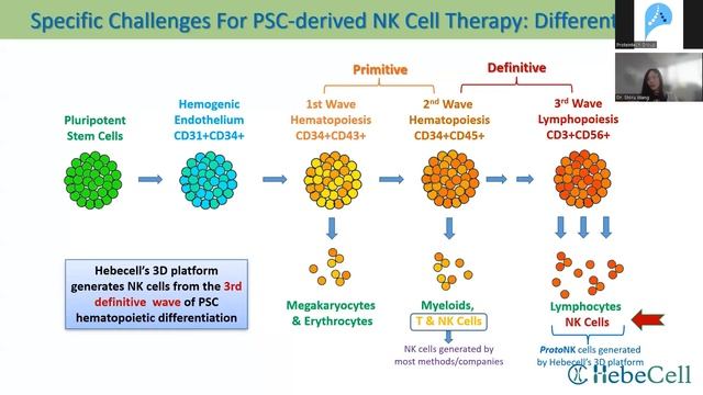 NK Cell Therapy Workshop: Process Development in a Biotech Startup смотреть онлайн