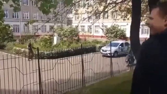 На территории 1 школы в Черноморске подстрелили парня смотреть онлайн