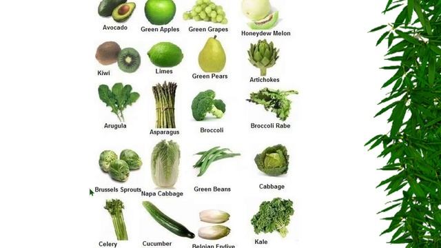 BG - SINH HÓA TV #12 - Vitamins và Acid hữu cơ ở Thực Vật смотреть онлайн