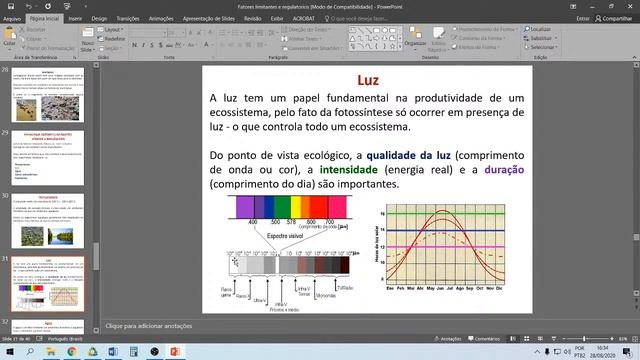 Aula 03b - Ecologia - Prof. Rogério смотреть онлайн