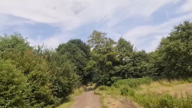 1️⃣9️⃣✔️ РЕМОНТ СТАРОГО ДОМА ВОЗЛЕ ЛЕСА ЗА 240 ТЫСЯЧ В ГЕРМАНИИ  / #купилидом