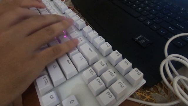 Keyboard Mechanical Typing Sound with Vortex Series VX 7 Outemu Brown Switch смотреть онлайн