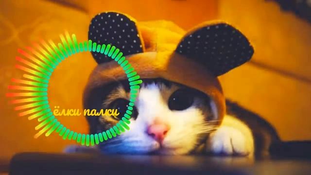 ксенон ёлки палки -песня смотреть онлайн