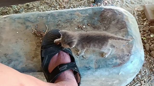 салат на дыму смотреть онлайн