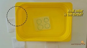 Shapes experiment for kids