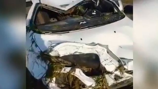 Сель Узбекистан 2019 смотреть онлайн