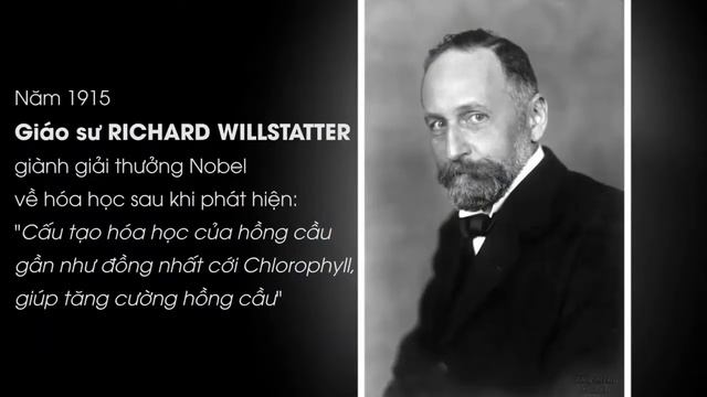 Diệp Lụ TH Health Chlorophyll UIE Plus Giúp Thải Độc Cơ Thể смотреть онлайн