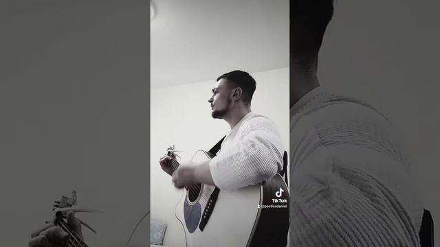 mama-Ion Ratză смотреть онлайн