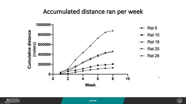 Voluntary exercise reduces colonic reactive gliosis found in an animal model of endometriosis смотреть онлайн