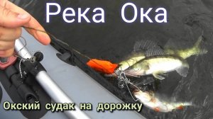 РЫБАЛКА на Оке,ТРОЛЛИНГ судака,тестим новый комплект лодка KITT BOATS