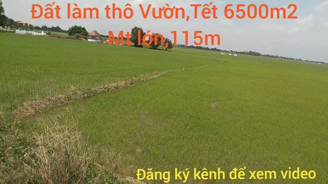 Đất Làm Thô Vườn,Tdt 6,500m2,Mt lớn 115m, Giá 750tr Hết Đất, Xã Tuyên Bình Huyện Vĩnh Hưng LA смотреть онлайн