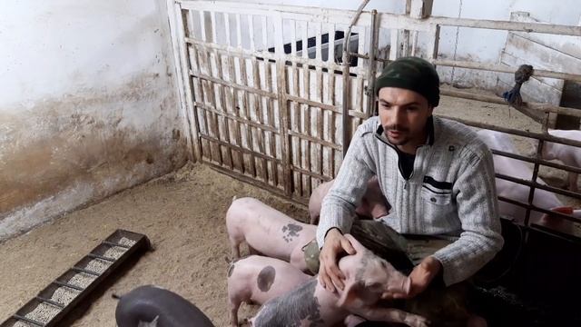 //Как начиналась самостоятельная жизнь//Сиротки,что едят и с какой посуды// смотреть онлайн