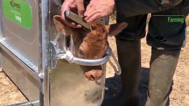 Роговыжигатель газовый EXPRESS FARMING ALIOS смотреть онлайн