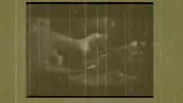 paul kalkbrenner-sky and sand (kinetic typography) смотреть онлайн