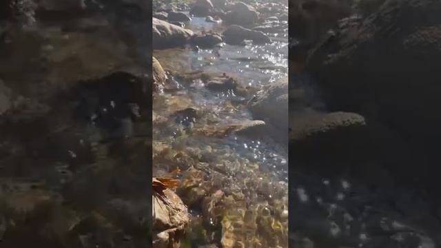 💖💖💖 смотреть онлайн