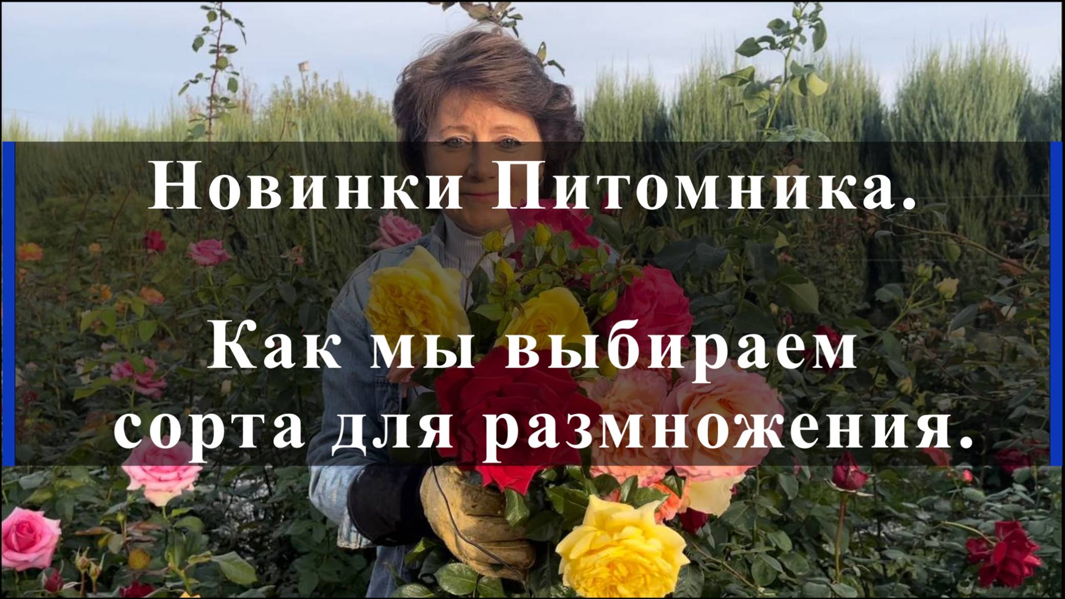 Новинки Питомника. Как мы выбираем сорта для размножения. смотреть онлайн
