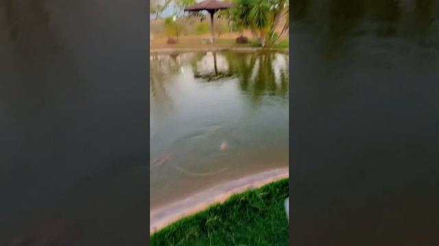 Jogaram tudo na água смотреть онлайн