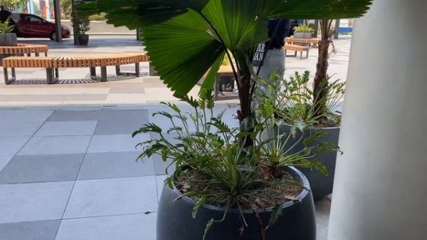 ФИЛИППИНЫ, МАНИЛА! Получил ID и теперь я готов к приключениям!