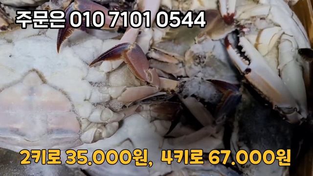 가격이 싸네요.! 국내산 급냉 암꽃게! #꽃게 #암꽃게 #완도수산 смотреть онлайн