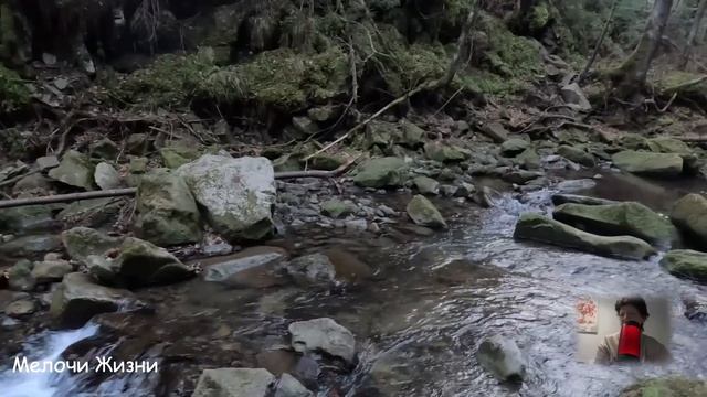 -Ты обязана помочь моей дочери, заложи свою квартиру, срочно! Невестка ответила... смотреть онлайн