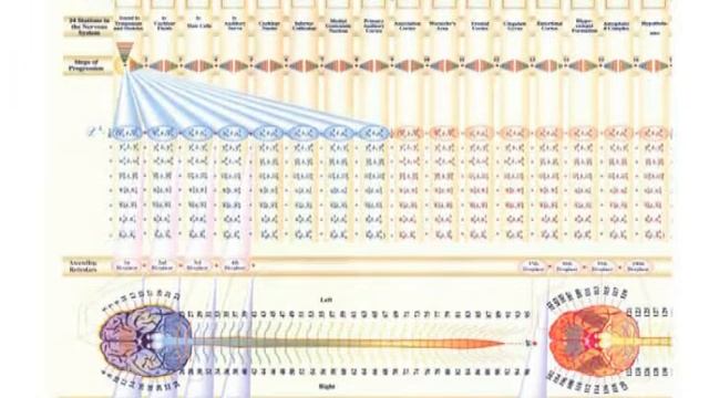 Здравоохранение основанное на ЕП ч.3 8.6.2007