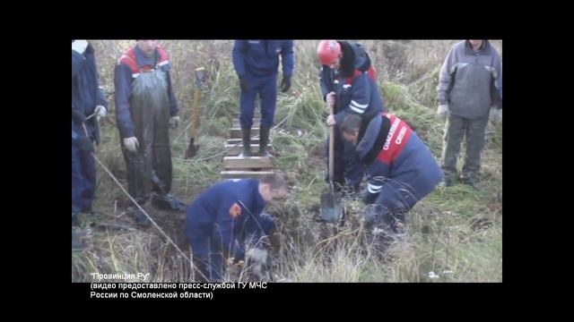 Спасение лошади смотреть онлайн