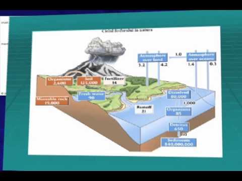 Ecologie