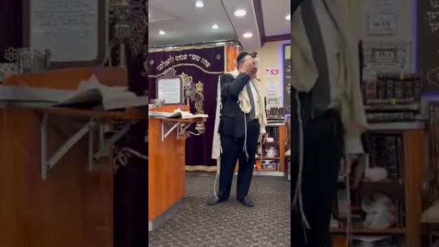 Halachot of Shacharit - Rabbi Michael Mansour 5782 смотреть онлайн