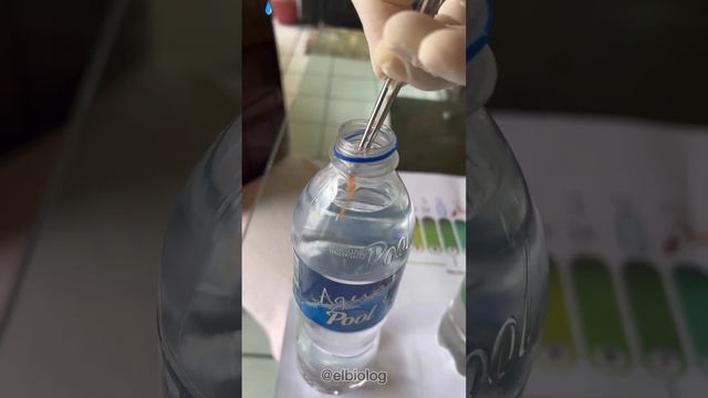 Poniendo a prueba MARCAS de botellas de agua (pH) 📛 смотреть онлайн