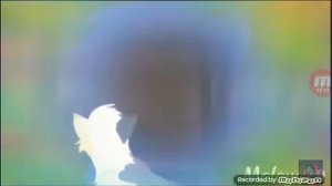 коты воители клип если бы слезы твои были водой