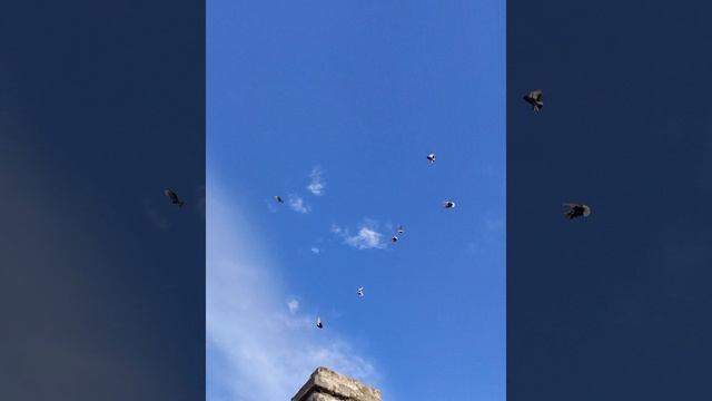 НГ Мариуполь смотреть онлайн
