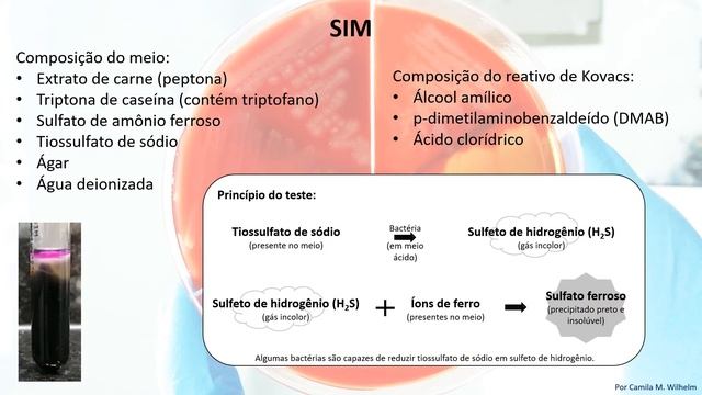 SIM - Sulfeto de hidrogênio Indol Motilidade смотреть онлайн