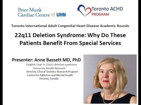 22q11 Deletion Syndrome: Why Do These Patients Benefit From Special Services? смотреть онлайн