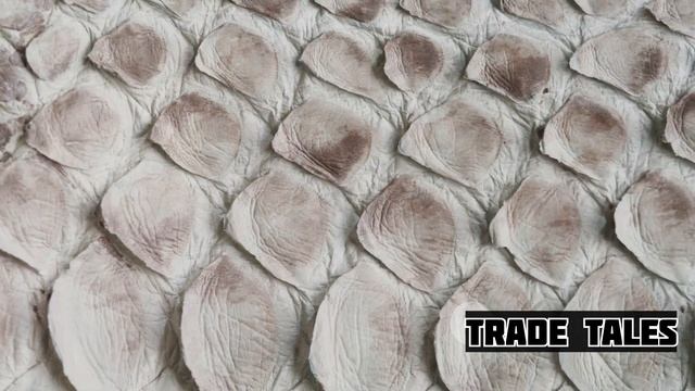 How Farmers Earn Million from Processing Python Skin in Processing Factory смотреть онлайн