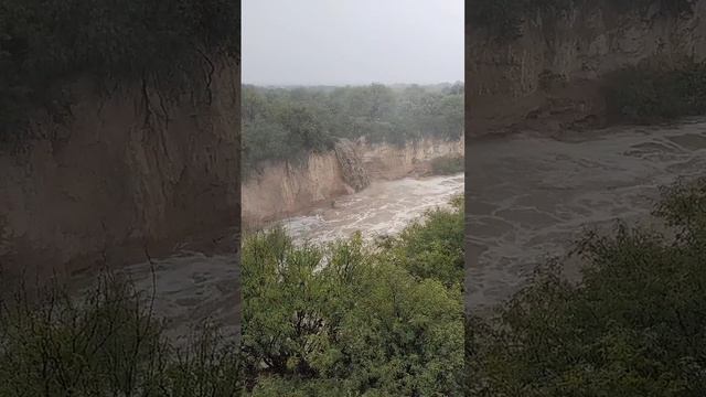 25 de julio de 2024(4) смотреть онлайн