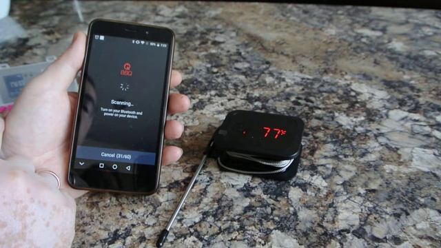Inkbird BBQ IBT-2X смотреть онлайн