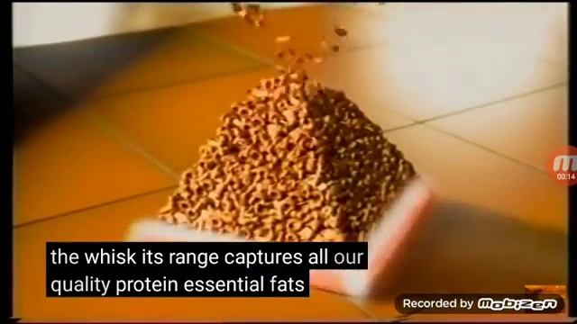 Whiskas 1996 смотреть онлайн