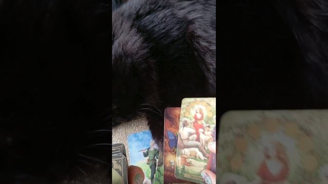 ♥️☀️💓ЕГО МЫСЛИ О ВАС СЕЙЧАС 🥰♥️☀️ смотреть онлайн