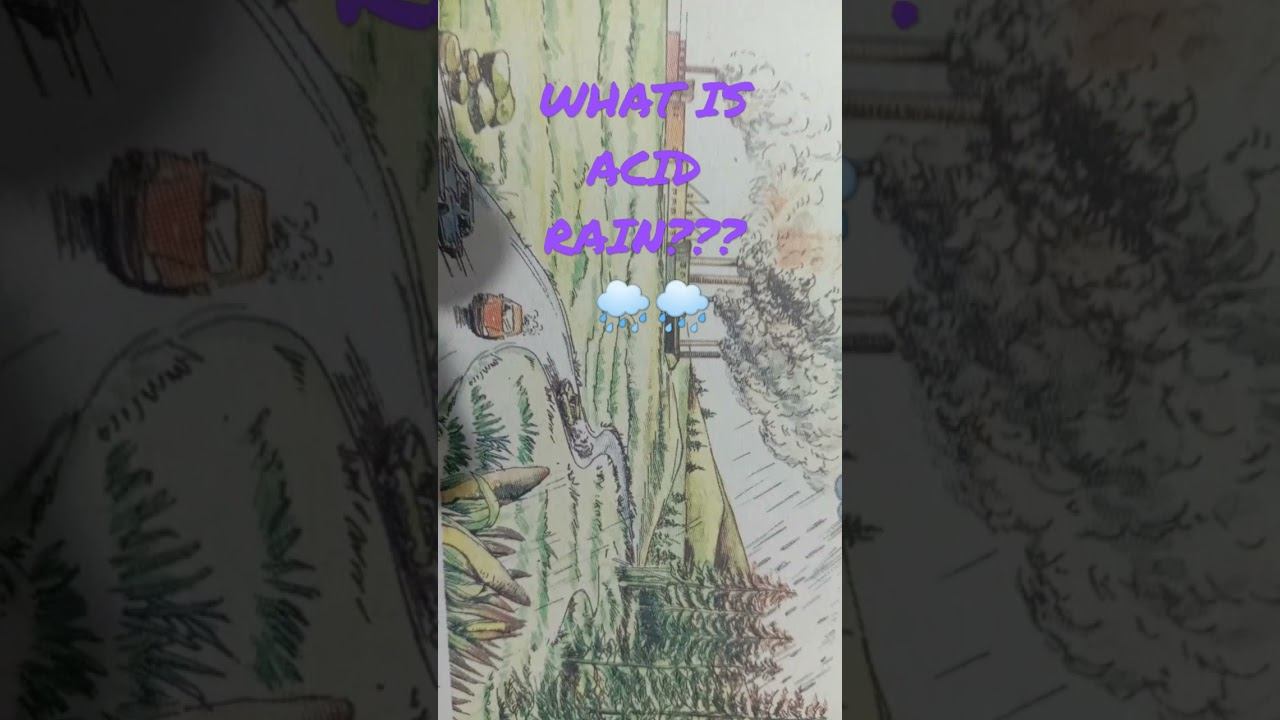 What is Acid Rain??? #acidrain #acid #rain #pollution смотреть онлайн