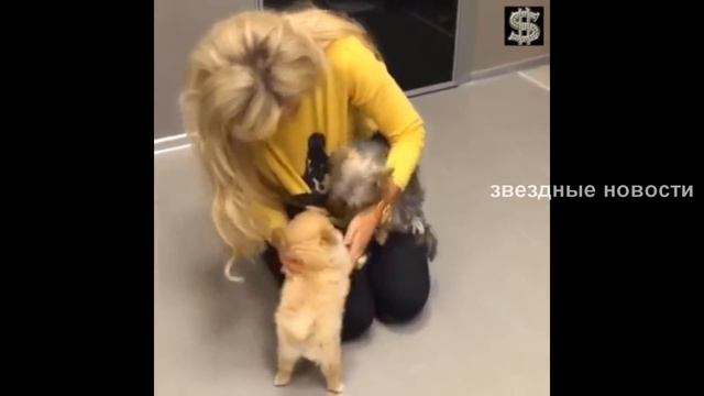 Бузова появится в Новогоднюю ночь на экранах смотреть онлайн