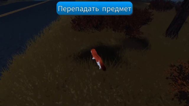 Коты Воители / Ловля Дичи / WCUE / Для Новичков #roblox #warriorcats #wcue