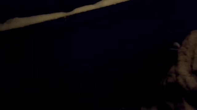 ДОБЫЧА МЕДИ.... Поход по кормилицам😄😄😄 смотреть онлайн