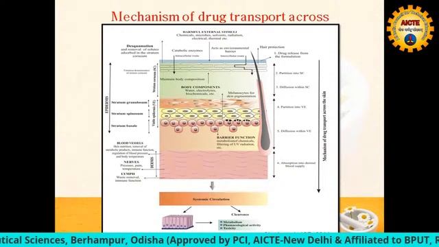 AICTE SPONSORED STTP AT RIPS смотреть онлайн