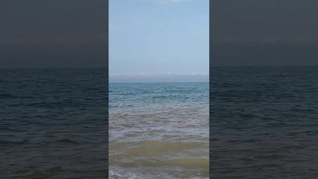 Дельфины в Чëрном море🌊🐬 Сочи 2023 смотреть онлайн