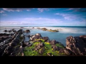 "Отпусти,  и всё произойдёт само собой". Роберт Адамс.