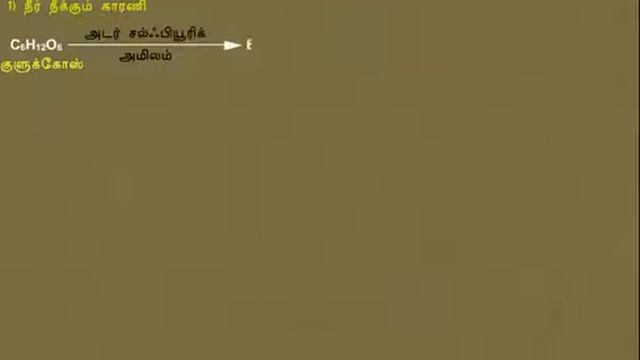 Sulpuric Acid | கந்தக அமிலம்| Tamil смотреть онлайн
